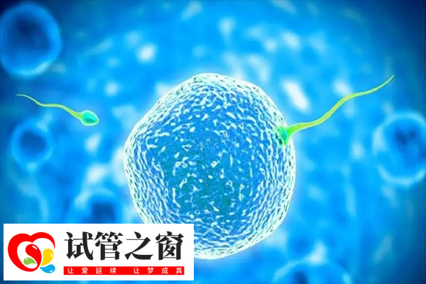 胚胎質量差移植成活率很低