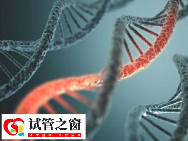 胚胎多倍體并不必須要做三代試管