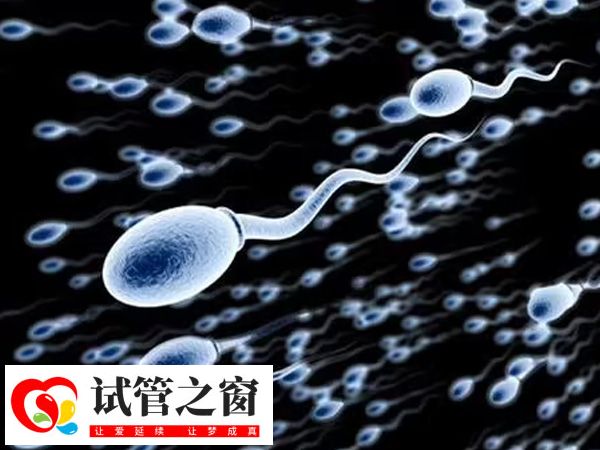 二代試管主要用于處理男性精子問題