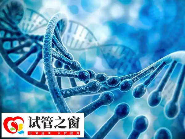 三代試管篩查要10-20天