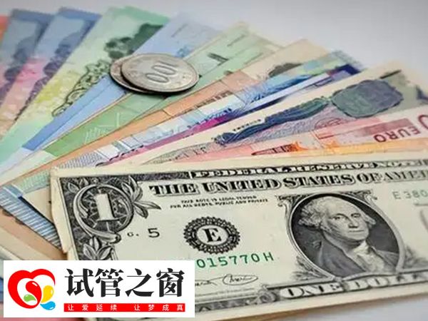 試管花費俄羅斯比美國低