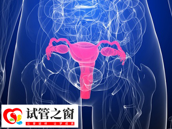 PGS技術能提高妊娠成功率