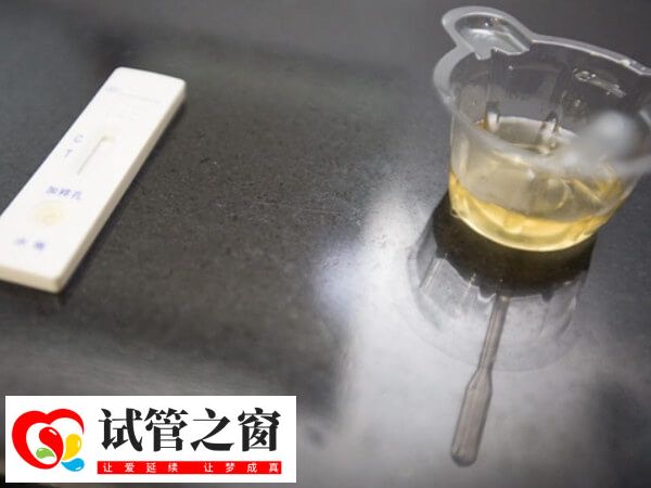 尿液被稀釋會(huì)測(cè)不出懷孕