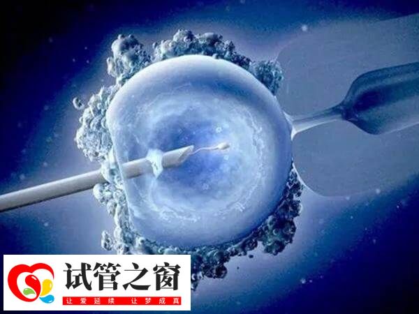 胚胎移植后拉肚子可能是藥物作用