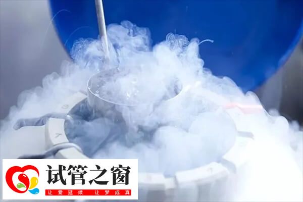 凍胚移植可有更多時(shí)間調(diào)整內(nèi)膜