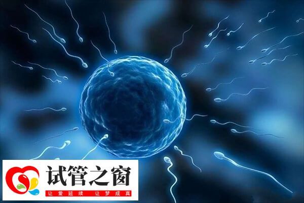 宮腔灌注是一種常見的輔助生殖技術