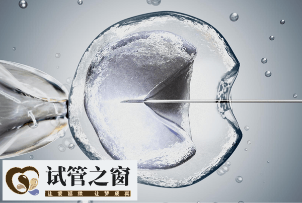 人工授精促排卵過程很簡單