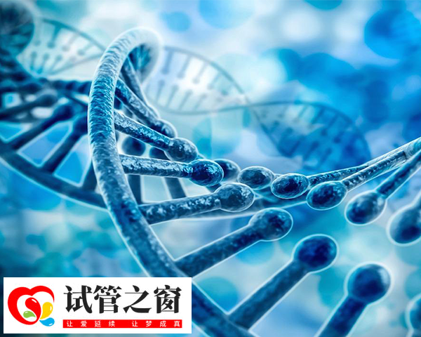 染色體異常可導致胎兒畸形