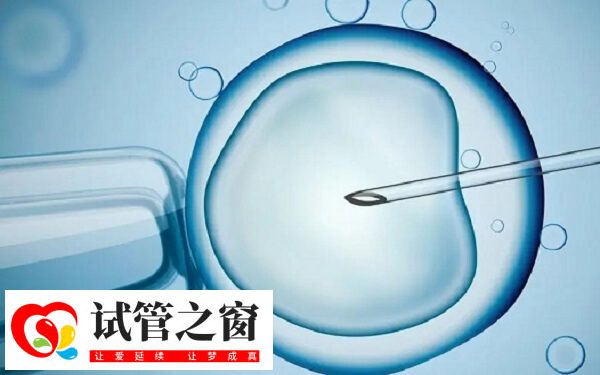 中信湘雅試管成功率高