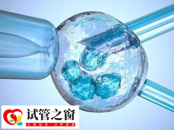 試管嬰兒成功率不是百分百