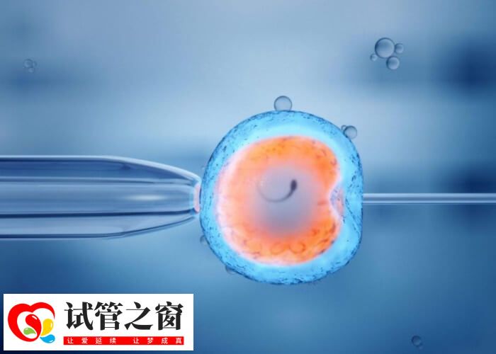 35歲女性備孕多久才能懷孕(圖1)