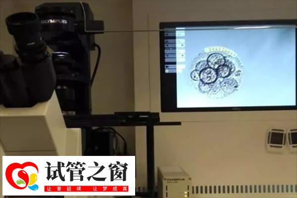 胚胎養囊這是胚胎篩選的過程