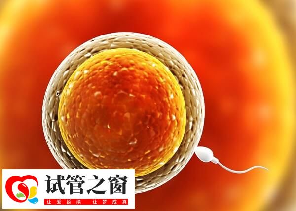 排卵障礙會影響女性受孕率