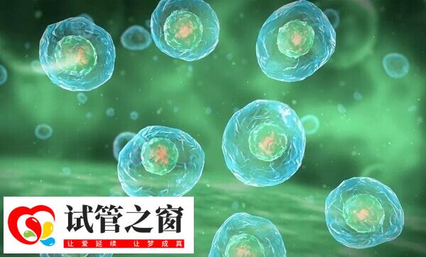 促排可誘使排卵障礙患者排卵