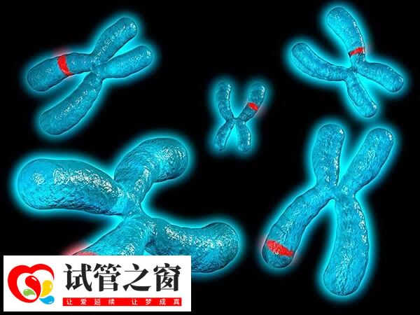 完全型T9指個(gè)體所有細(xì)胞9號(hào)染色體都增加一條