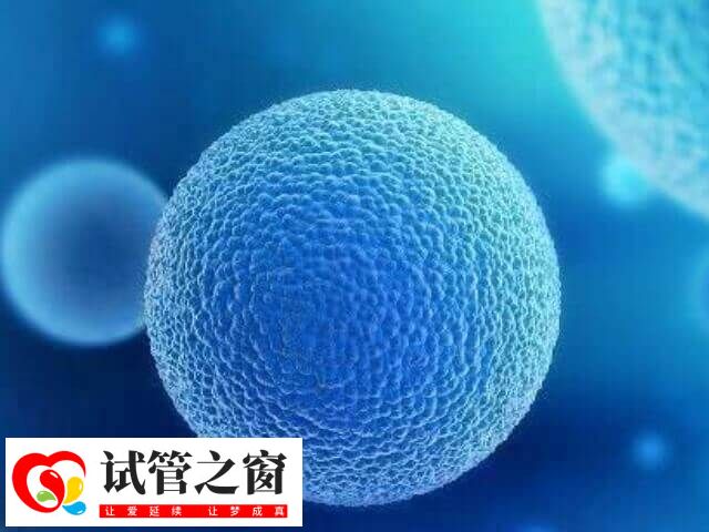 試管嬰兒失敗體內(nèi)雌激素水平不會(huì)顯著升高