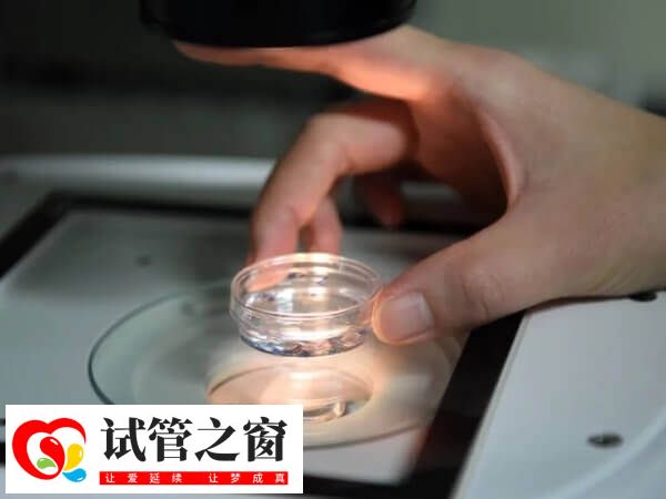 烏克蘭做試管不需要三證