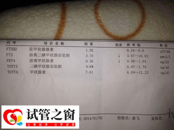 甲減就是甲狀腺功能減退