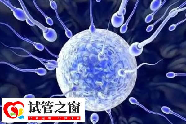 國(guó)內(nèi)用精子庫(kù)精子做試管有條件