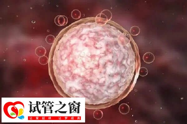 有多個大小<5mm的卵泡則達菲林降調成功