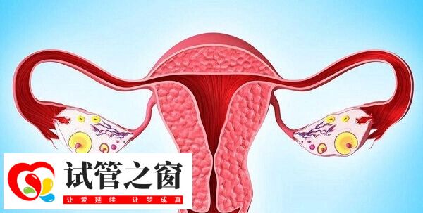 子宮內膜厚度是降調成功的一個標志