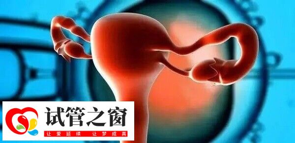 一般在達菲林停藥1-3個月后才來月經