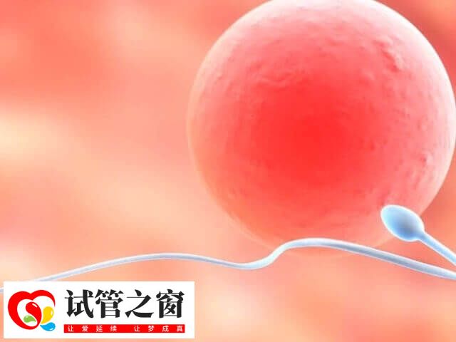 目前國內領養需符合民政部門規定的條件