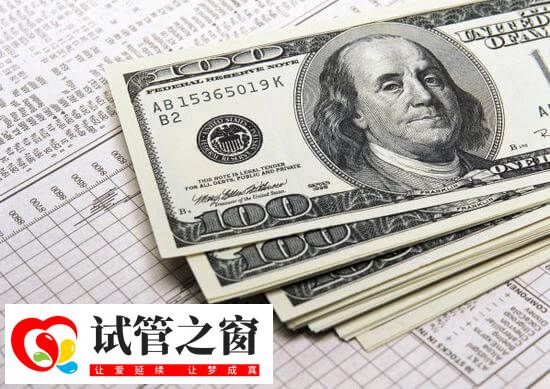 拉拉美國試管費用