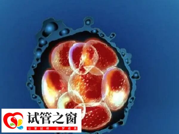 試管嬰兒健康狀況與自然受孕嬰兒相當