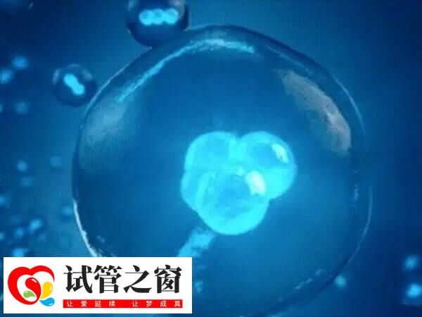 試管嬰兒與自然受孕嬰兒只區別于受孕方式