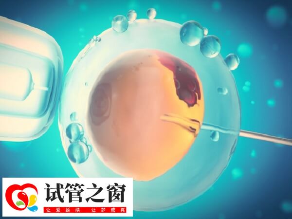 試管嬰兒體質弱的說法缺乏科學依據