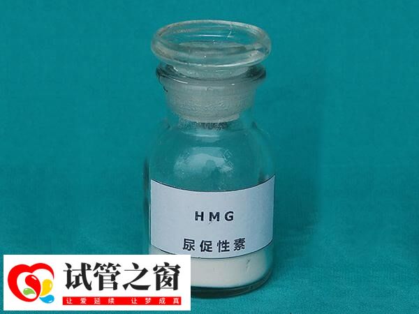 夜針主要成分是尿促性素和絨促性素