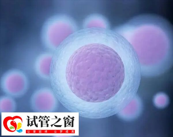 長(zhǎng)方案本身不會(huì)直接導(dǎo)致卵泡長(zhǎng)得慢