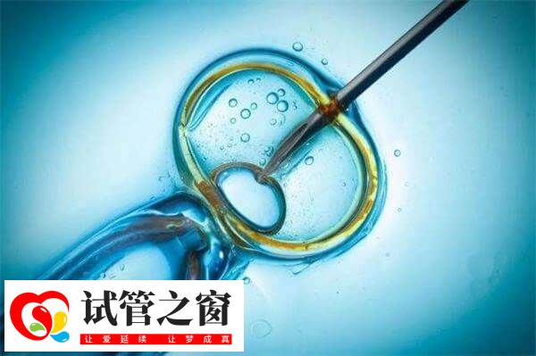 微刺激方案的成功率因人而異