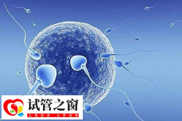 短方案與拮抗劑方案區別在用藥和時間上面