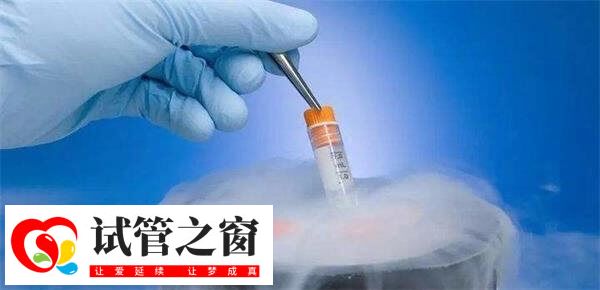 拮抗劑方案中凍胚移植比鮮胚移植好