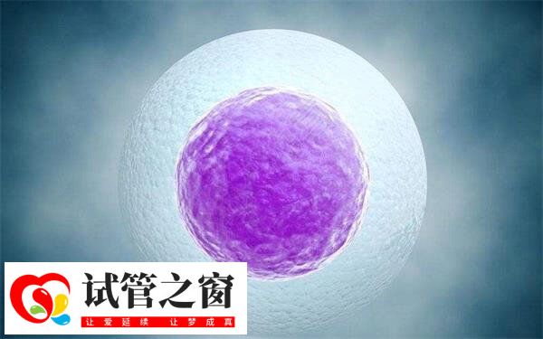 5bb囊胚冷凍后的成功率很高