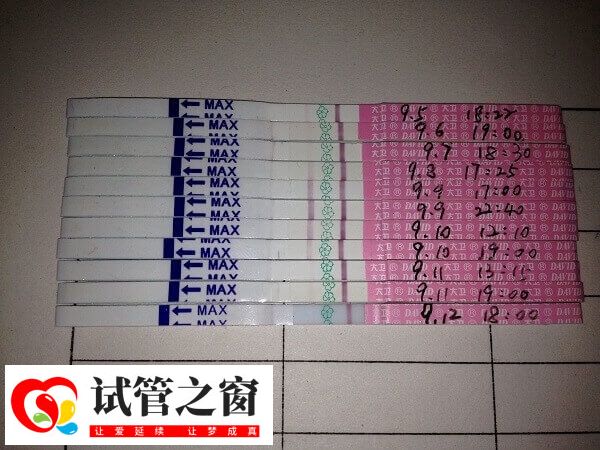 試管前監測排卵是根據科學時間表來檢測的