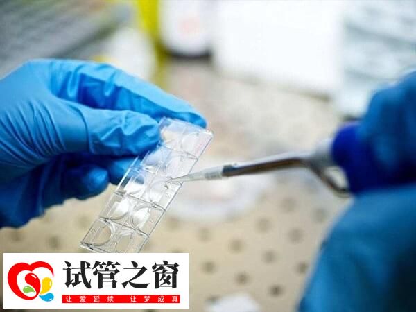 囊胚4aa是一級胚胎