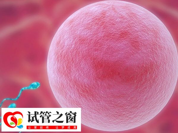 50歲供卵試管嬰兒移植成功率不高