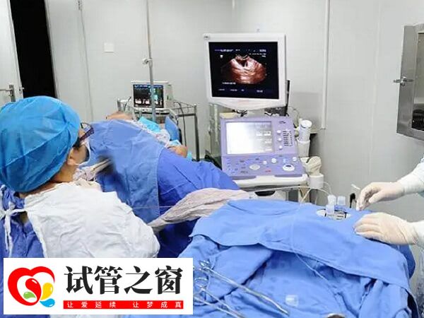 卵泡早排會影響取卵手術