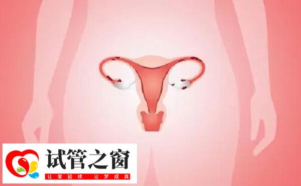 卵巢功能下降或衰竭后很難恢復