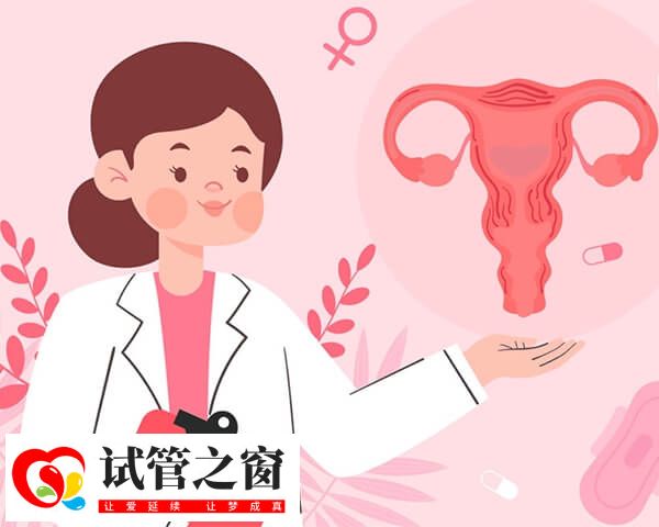 始基子宮不能做試管