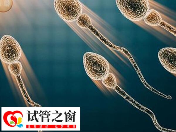 阜新婦產醫院試管成功率達60%