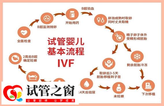 做三代試管嬰兒一個周期要多少天?流程是怎么樣的?(圖1) 三代試管嬰兒基本流程步驟