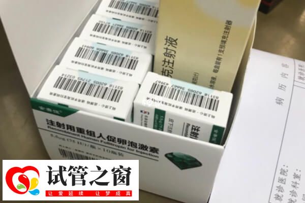 合理飲食有助于卵泡發育